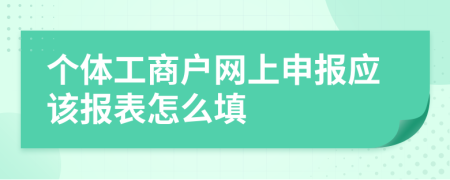 个体工商户网上申报应该报表怎么填