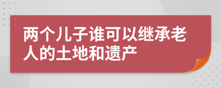 两个儿子谁可以继承老人的土地和遗产