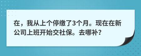 在，我从上个停缴了3个月。现在在新公司上班开始交社保。去哪补？