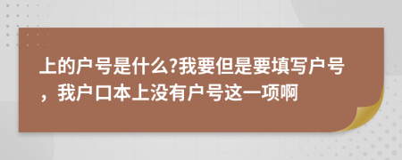 上的户号是什么?我要但是要填写户号，我户口本上没有户号这一项啊