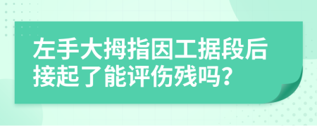 左手大拇指因工据段后接起了能评伤残吗？
