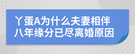 丫蛋A为什么夫妻相伴八年缘分已尽离婚原因