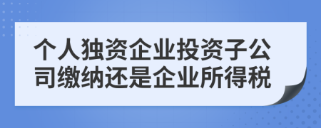 个人独资企业投资子公司缴纳还是企业所得税