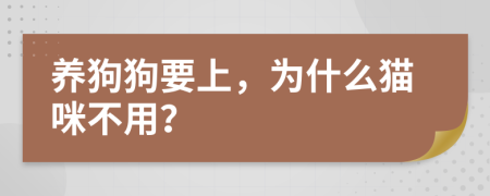 养狗狗要上，为什么猫咪不用？