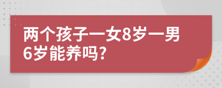 两个孩子一女8岁一男6岁能养吗?