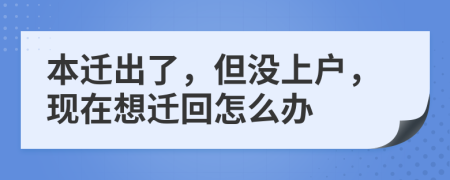 本迁出了，但没上户，现在想迁回怎么办