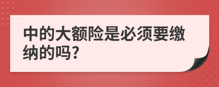 中的大额险是必须要缴纳的吗?