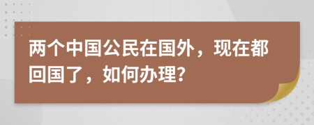 两个中国公民在国外，现在都回国了，如何办理？