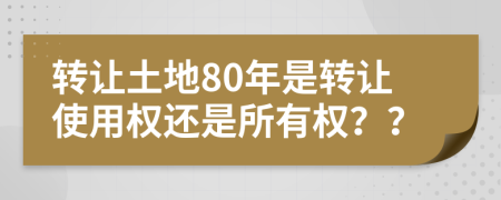 转让土地80年是转让使用权还是所有权？？