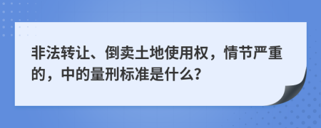 非法转让、倒卖土地使用权，情节严重的，中的量刑标准是什么？