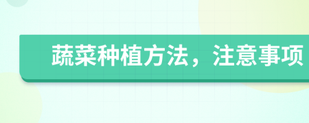 蔬菜种植方法，注意事项