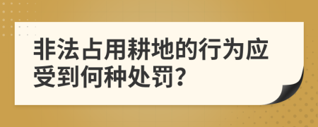 非法占用耕地的行为应受到何种处罚？