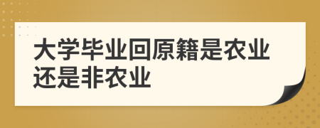 大学毕业回原籍是农业还是非农业