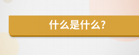 什么是什么?
