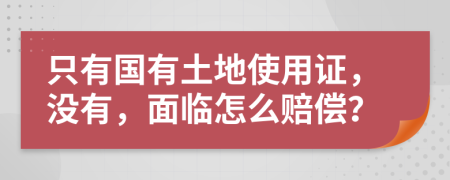 只有国有土地使用证，没有，面临怎么赔偿？