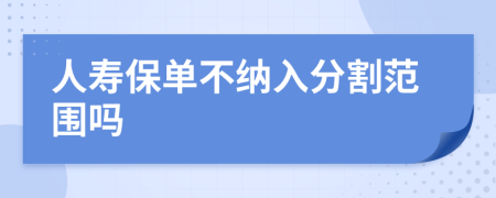 人寿保单不纳入分割范围吗