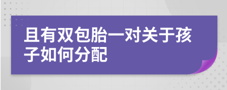 且有双包胎一对关于孩子如何分配