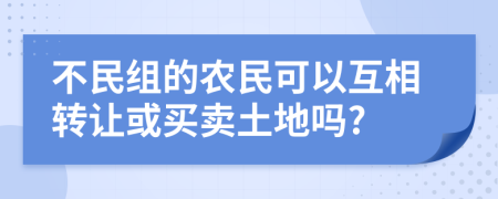 不民组的农民可以互相转让或买卖土地吗?