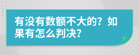 有没有数额不大的？如果有怎么判决？