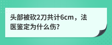 头部被砍2刀共计6cm，法医鉴定为什么伤？