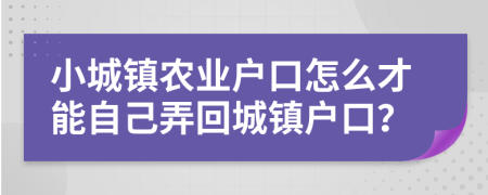 小城镇农业户口怎么才能自己弄回城镇户口？