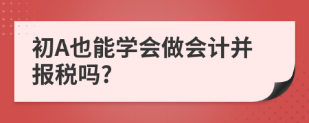 初A也能学会做会计并报税吗?