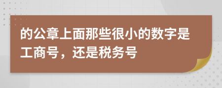 的公章上面那些很小的数字是工商号，还是税务号