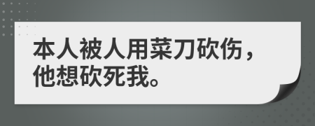 本人被人用菜刀砍伤，他想砍死我。