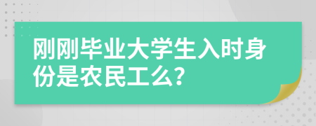 刚刚毕业大学生入时身份是农民工么？