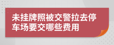 未挂牌照被交警拉去停车场要交哪些费用