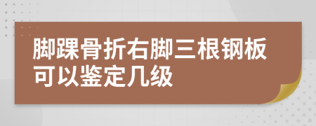 脚踝骨折右脚三根钢板可以鉴定几级