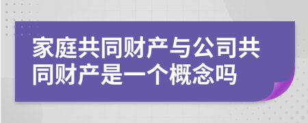 家庭共同财产与公司共同财产是一个概念吗