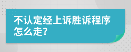 不认定经上诉胜诉程序怎么走？