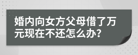 婚内向女方父母借了万元现在不还怎么办？