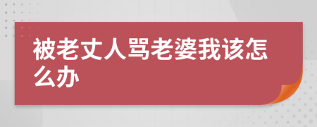 被老丈人骂老婆我该怎么办