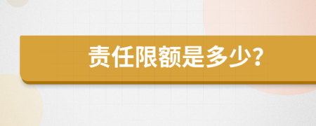 责任限额是多少？