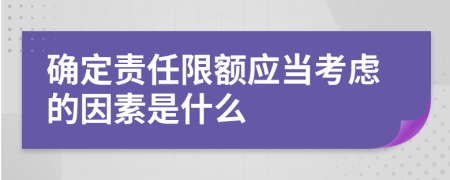 确定责任限额应当考虑的因素是什么