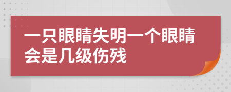 一只眼睛失明一个眼睛会是几级伤残