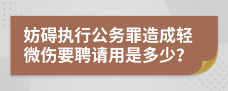 妨碍执行公务罪造成轻微伤要聘请用是多少？