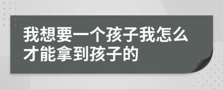 我想要一个孩子我怎么才能拿到孩子的