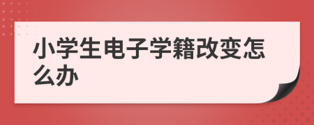 小学生电子学籍改变怎么办