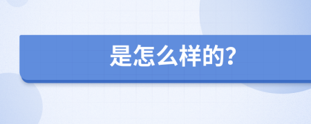 是怎么样的？