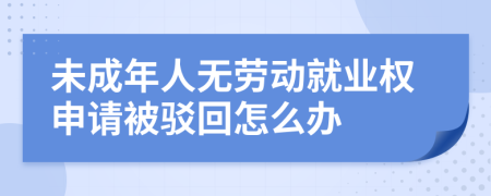 未成年人无劳动就业权申请被驳回怎么办