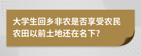 大学生回乡非农是否享受农民农田以前土地还在名下?