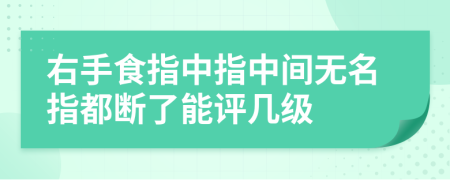 右手食指中指中间无名指都断了能评几级