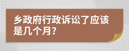 乡政府行政诉讼了应该是几个月？