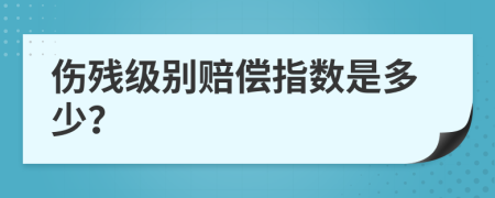 伤残级别赔偿指数是多少？