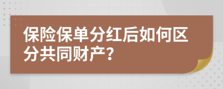 保险保单分红后如何区分共同财产？