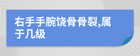 右手手腕饶骨骨裂,属于几级