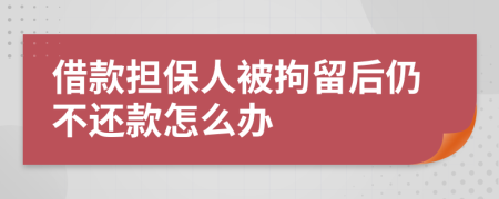 借款担保人被拘留后仍不还款怎么办